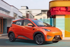 Harga Mulai Rp158 Juta, BYD Seagull 2026 Tawarkan Efisiensi dan Fitur LiDAR Canggih