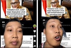 Alamak, CPNS-PPPK Belum Dilantik Terlanjur Resign Diupayakan Balik Kerja, Ibarat Selingkuh Disuruh Balikan!