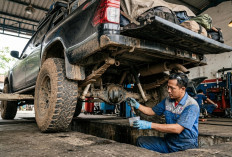 Jangan Tunggu Oli Rusak! Begini Cara Mengetahui Kondisi Oli Gardan dan Transmisi Mobil Diesel