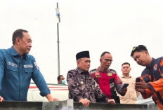 Wabup Ogan Ilir Didampingi Sekda, Tinjau Karhutla di Area Tol Palindra