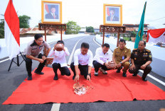 Gubernur Herman Deru Resmikan Flyover Gandus, Akhiri Banjir dan Kemacetan