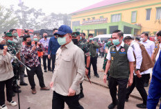 Ratu Dewa Dampingi Menko Polkam RI, Tinjau Posko Dan Lokasi Karhutla Di Kecamatan Sematang Borang Palembang