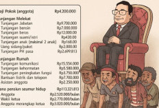 Rincian Gaji dan Tunjangan Anggota DPR RI Tembus Ratusan Juta, Publik Nilai Tak Seimbang dengan Kinerja