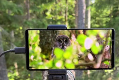 Bocoran Sony Xperia 10 VII, Perubahan Desain Kamera Jadi Horizontal, Segini Perkiraan Harganya