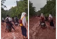 Warga Desa Tangai Ogan Ilir Keluhkan Jalan Rusak, Anggota DPRD Sarankan Pemkab OI Cari Solusi Tepat