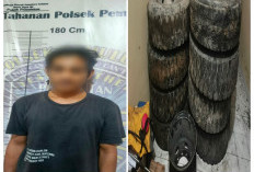 Gegara Gelapkan Ban Mobil Milik PT Artha Jaya, Sopir Trailer Diamankan Polsek Pemulutan