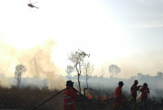 Kebakaran Lahan Seluas 5 Hektare di Sungai Rambutan Ogan Ilir, Pemadaman Dilakukan Lewat Udara dan Darat