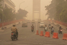 Tips Aman Berkendara Saat Kabut Asap Tebal, Jangan Asal Nyalakan Lampu, 8 Hal yang Wajib Diperhatikan