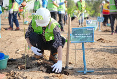 PT Bukit Asam Tbk Tanam 600 Pohon Sengon Buto dalam Kegiatan Green Mining di Muara Enim
