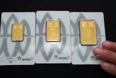 Harga Emas Antam 5 Gram Hari Ini, Sabtu 8 Agustus 2026 Naik
