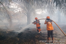 10 Titik Karhutla Terjadi di OKI Fokus Penanganan di 5 Kecamatan, Terpantau 537 Hotspot