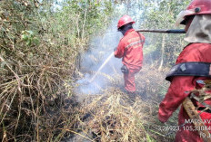 Helikopter Water Bombing Dikerahkan Pemadaman Lahan Gambut di Tulung Selapan Ilir 