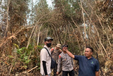 Cegah Karhutla Meluas, Polsek Sungai Rotan Bersama Brimob dan Damkar Padamkan Titik Api di Suka Merindu