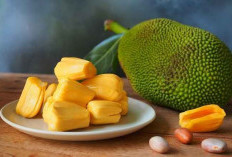 Inilah Beragam Manfaat Buah Nangka Bagi Kesehatan: No 5 Dapat Mencegah Diabetes!