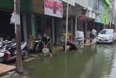 Sebulan Tergenang Air Jalan di Jantung Perekonomian Pasar 16 Ilir Palembang Ditabur Bibit Ikan 