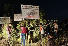 Lahan Suaka Marga Satwa Seluas 6.633,44 Hektare Bentayan Banyuasin Diambil Alih Pemerintah