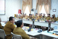 Kepala Dinas Deg-deg an, Agustus Ini Eksekusi Perampingan OPD di Pemkab Banyuasin?