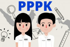 Horee! Tenaga Honorer Golongan Ini Bisa Diangkat Jadi PPPK Paruh Waktu, Ini Jabatan yang Bisa Diisi