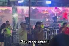Hiburan Malam Tanpa Izin di Segayam Diduga Kangkangi Perda, Warga Desak Polres Ogan Ilir Bertindak Tegas