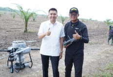 Bupati Ogan Ilir Uji Coba Penanaman Padi Gogo Gunakan Teknologi Drone, Upaya Tingkatkan Produksi