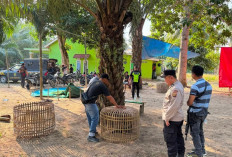Grebek Gelanggang Sabung Ayam di Ketapang II Ogan Ilir, Polsek Tanjung Raja Sita Sejumlah Barang Bukti