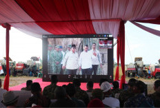 Pangdam II/Sriwijaya dan Gubernur Sumsel Panen Raya Serentak bersama Presiden di Desa Jukdadak OKI