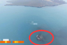 Daratan Baru Muncul Pasca-Erupsi Anak Krakatau, ini Kata Ahli Kebencanaan Indonesia