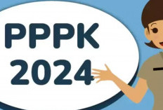 Benarkah Honorer Kategori R4 Kini Bisa Diangkat Menjadi PPPK Tanpa Tes, Simak Penjelasannya!