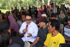 Tanjung Lubuk OKI Jadi Lokasi Cetak Sawah Rakyat, Staf Kepresidenan Tinjau Lokasi