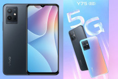 HP Cantik Punya Desain Bodi Rambing dengan Teknologi Crystalline Matte Vivo Y75 5G 