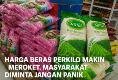 Naik Terus, Harga Beras Medium di Minimarket Banyuasin Tembus Rp14.900 Per Kilo