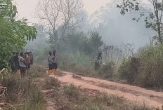 Tim Gabungan Padamkan Kebakaran Lahan Seluas 12 Hektare di Desa Pulau Semambu Ogan Ilir