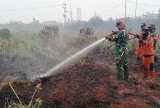 Lahan Semak Belukar 8 Hektar di Muara Batun  Jejawi OKI Terbakar, Tim Gabungan Padamkan 