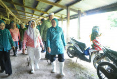 Rela Terobos Banjir, Ketua TP PKK Palembang Beri Bantuan untuk Warga Sakit