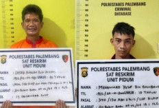 Peran 2 Pelaku Sebabkan Sopir Truk Tewas di Simpang Macan Lindungan Palembang, Sempat Kabur ke OKI 