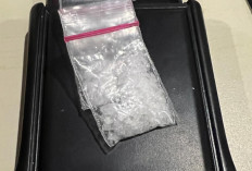 Sabu di Penginapan, Ekstasi di Orgen Tunggal, Dua Pengedar Dibekuk di OKU Selatan