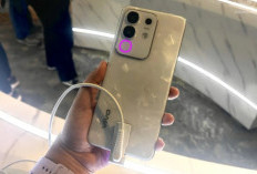 7 Rekomendasi HP Harga Rp2 jutaan Tawarkan Kamera Jernih Ada Vivo Y29