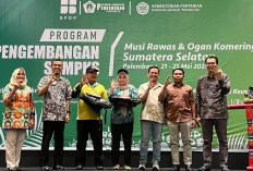 BPDP dan Ditjenbun Dukung AKPY Beri Pelatihan Petani Sawit di Sumsel Tingkatkan Kompetensi 
