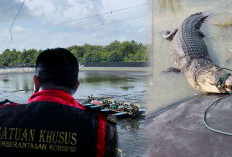 Wuiih, Kejari OKI Bongkar Kasus Rp12 Miliar Dana KUR di Tambak Udang Rawan Buaya