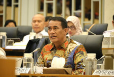 Kementan Siapkan Rp1,49 T dan Ajukan Tambahan Rp5,1 T untuk Pulihkan Pertanian Sumatera Pasca Bencana