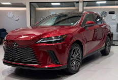 Lexus RX350 Versi 2026 Pilihan Solid Bagi Penikmat SUV Mewah dengan Kenyamanan Superior Berteknologi Modern