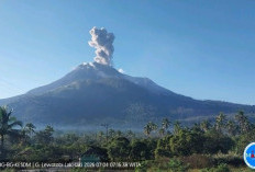 Gunung Lewotobi Laki-Laki Erupsi, Tinggi Kolom Abu Mencapai 800 Meter