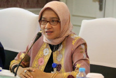 MenPAN-RB Tegaskan Honorer yang Jadi PPPK Paruh Waktu Akan Diangkat Penuh Waktu