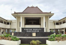 Pemerintah Kabupaten Banyuasin Siapkan Perombakan Jabatan, Pejabat Eslon II, III, dan IV Terancam Digeser