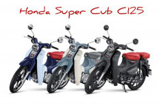 Honda Super Cub C125 Terbaru 2026: Motor Klasik Modern dengan Desain Ikonik dan Teknologi Canggih