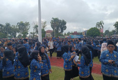 Jumat Pekan Ini ASN OKI WFH, Unit Layanan ke Masyarakat Tetap Buka 