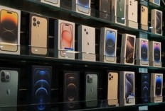 Mau Upgrade HP Baru Tapi Galau: Ini 6 iPhone Paling Worth It di Tahun Ini!