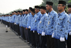 ASN Bisa Mutasi dalam Waktu 6 Bulan, Sinyal Positif BKN Benarkah! 