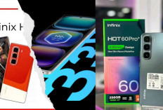 Daftar Harga HP Infinix Terbaru 2025: Dari Infinix Smart 10 Plus hingga GT 30 Pro, Mana yang Paling Worth It?