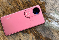 Smartphone Terbaru Vivo V50 5G Hadirkan Desain Rounded Edge dengan Dual Sertifikasi